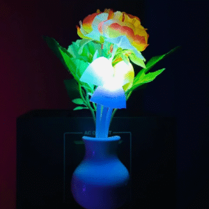 Multicolor Flower Dim Light
